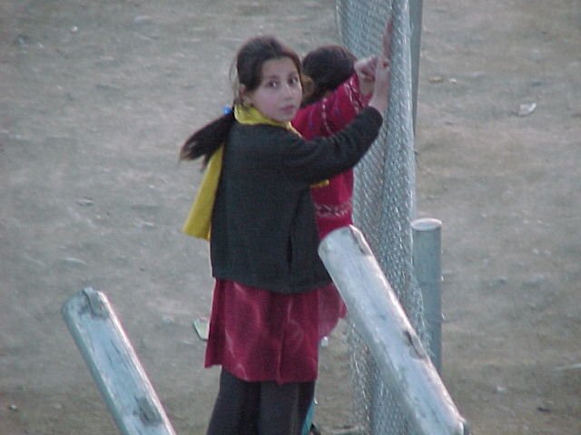 little2.jpg